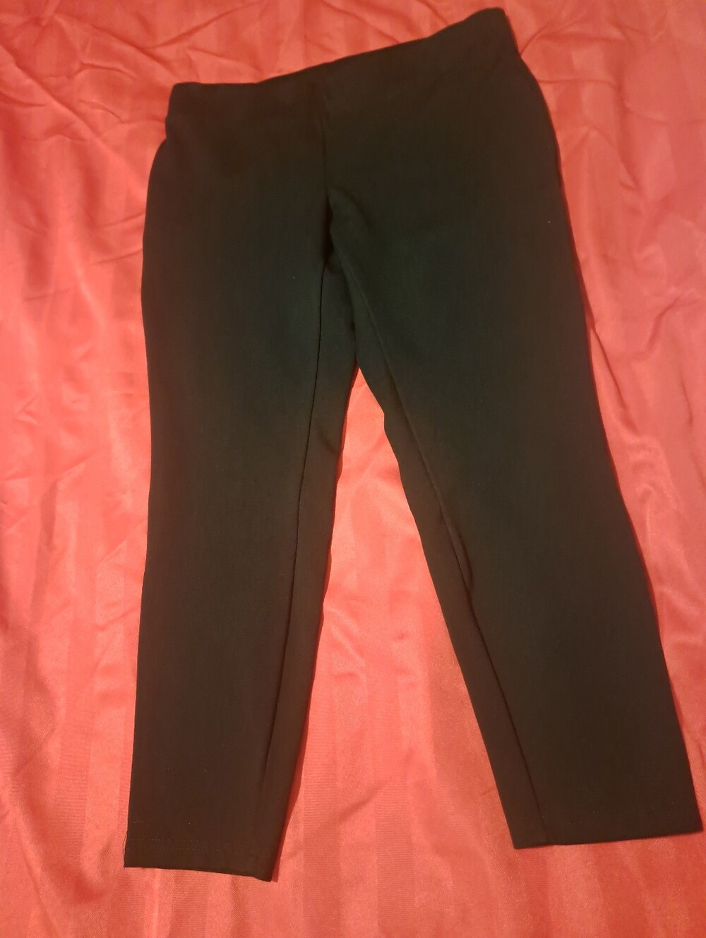 Women Black Pull-On Knit Ponte Pants